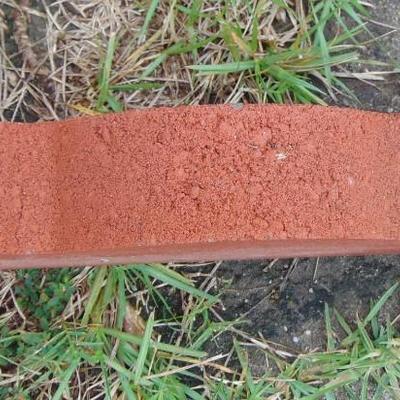 Scalloped 2-in Red Concrete Straight Edging Stone (12 Piece)