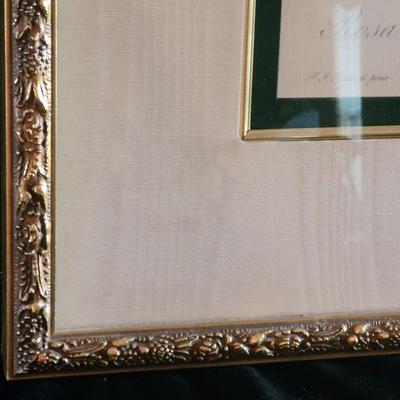 Framed Botanical Print by Pierre-Joseph RedoutÃ© "The Rose" (SR-DW)