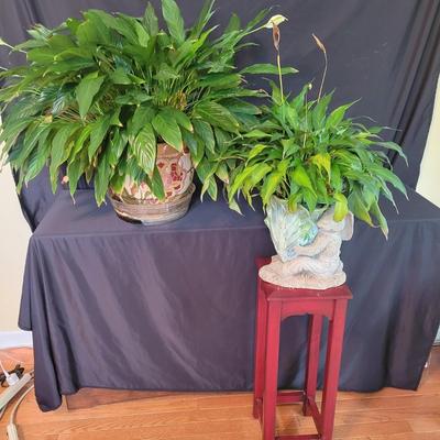 Pair of Peace Lily Plants, Planters, and Plant Stand (SR-DW)