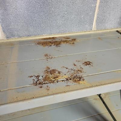 Pair of Metal Shelves (BG-DW)