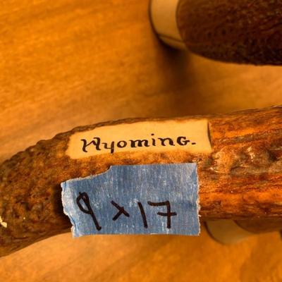 Wyoming Antler Table Lamp