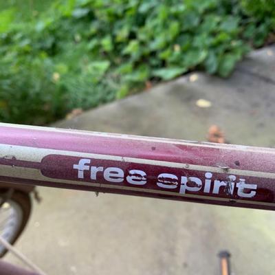 Vintage Free Spirit Beach Cruiser