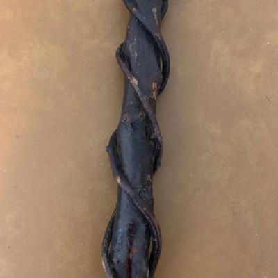 Walking Stick