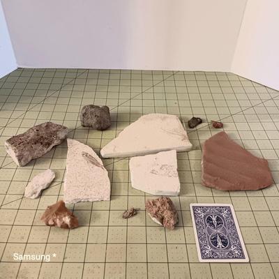 Fossil Rock Collection