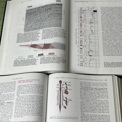 Life Book Bundle
