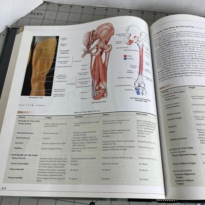 Human Anatomy Book