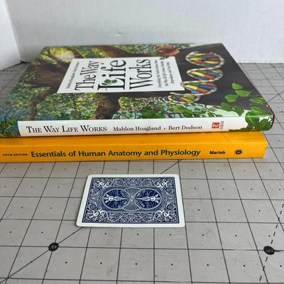 Life Works Bundle