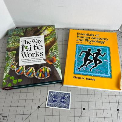 Life Works Bundle