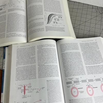 Animal Physiology Bundle