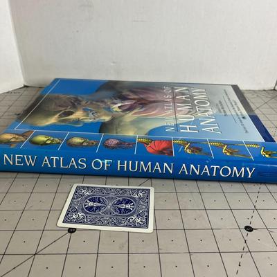 The Atlas of Human Anatomy
