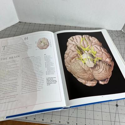 The Atlas of Human Anatomy