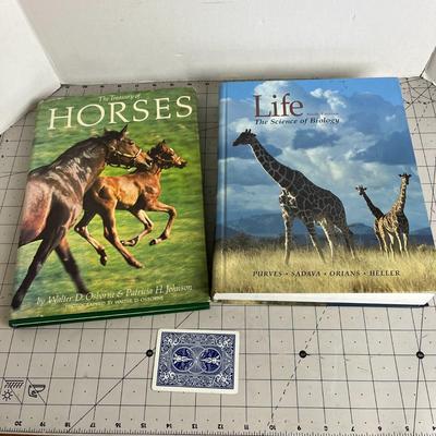 Horse Book Bundle