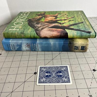 Horse Book Bundle