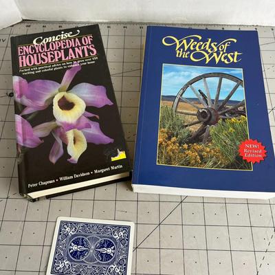 Houseplant Bundle