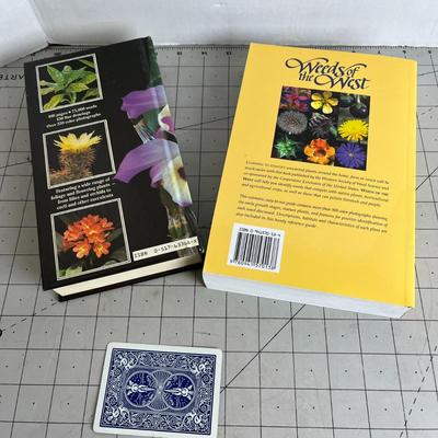 Houseplant Bundle