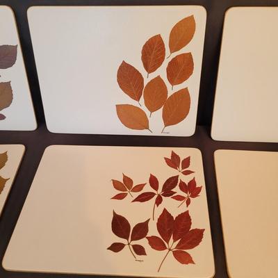 'Natural Aspects' Coasters & Placemats, Pampered Chef Sink Caddy, and More (SR-CE)