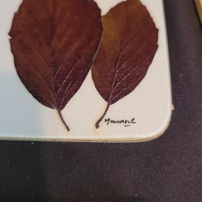'Natural Aspects' Coasters & Placemats, Pampered Chef Sink Caddy, and More (SR-CE)