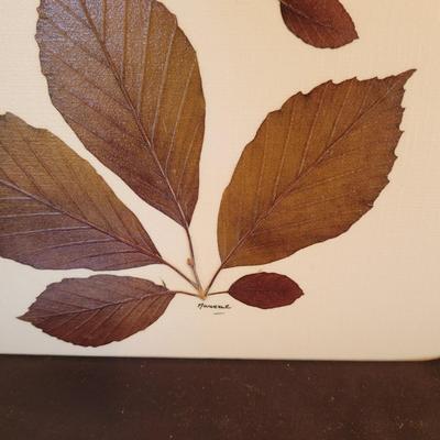 'Natural Aspects' Coasters & Placemats, Pampered Chef Sink Caddy, and More (SR-CE)