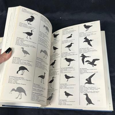 World of Birds Revised Edition by Fisher and Peterson Colored Illustrations Hard Cover Book
