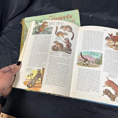 Pair of Vintage Children's Illustrated Books Insects and Mammals 1960s