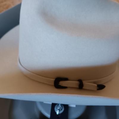 SWEET GREELEY HAT WORKS STETSON HAT WITH CASE