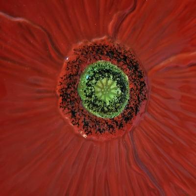 Nanette Vacher "Ambiance" Fleur Rouge & Fleur Rustique Poppy Dishes & More (DR-CE)