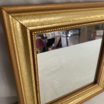 Variety of Mirrors (M-HS)