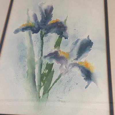 Framed Janet Gerlach Iris Watercolor Painting (LR-HS)