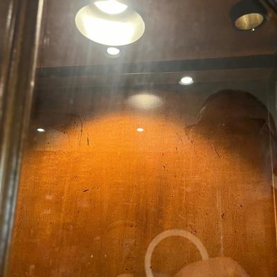 Habersham Lighted Display Case (LR-MG)