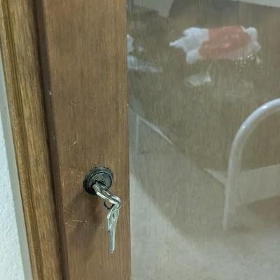 Locking Gun Display Cabinet