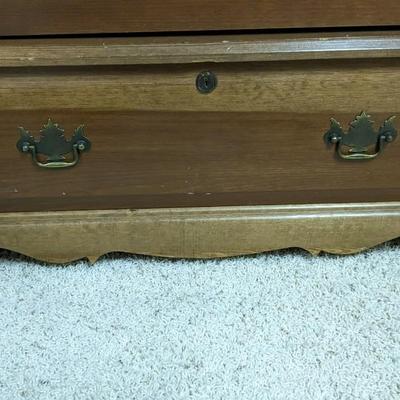 Locking Gun Display Cabinet