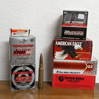 22 LR Ammunition
