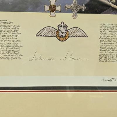 Nicolas Trudgian Signed and Numbered Pilot Prints
