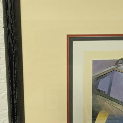 Nicolas Trudgian Signed and Numbered Pilot Prints