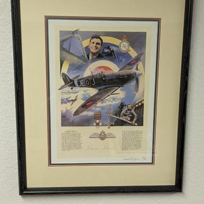 Nicolas Trudgian Signed and Numbered Pilot Prints