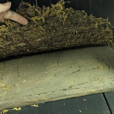 Handcrafted Nativity Scene