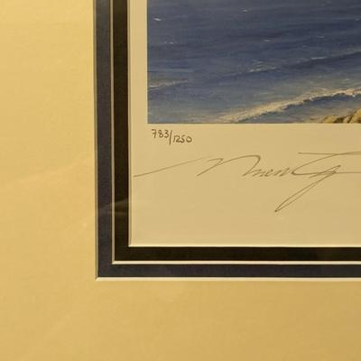 Signed and Numbered Robert Taylor "Thunderbolt Strike" Framed Print