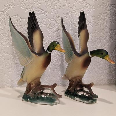 Duck, Duck, No Goose