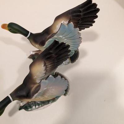 Duck, Duck, No Goose