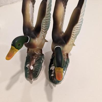 Duck, Duck, No Goose