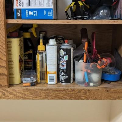Contents of Cabinets in Wash Room