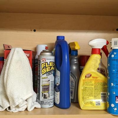 Contents of Cabinets in Wash Room