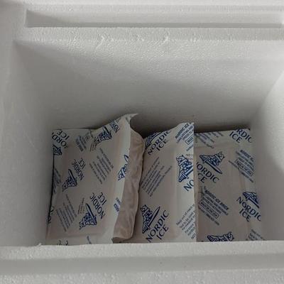 Mini Kenmore Deep Freeze and Garage Fridge