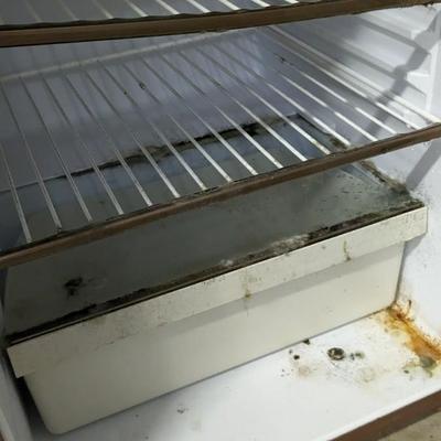 Mini Kenmore Deep Freeze and Garage Fridge