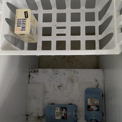 Mini Kenmore Deep Freeze and Garage Fridge