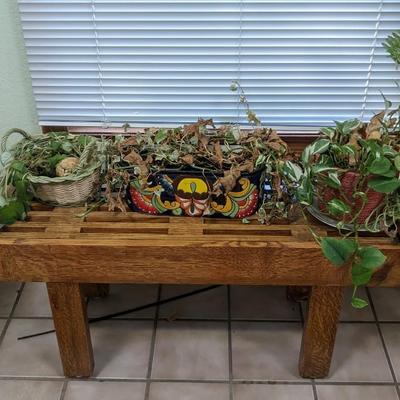 Plant Party