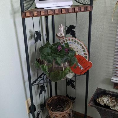 Plant Party