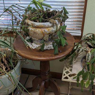 Plant Party