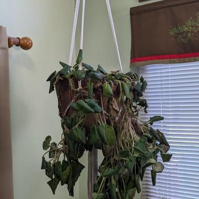 Plant Party