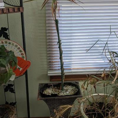 Plant Party